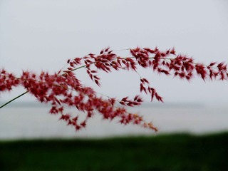 IMG_0679.jpg
