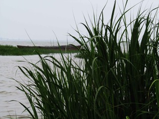 IMG_0789.jpg
