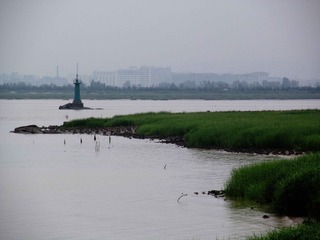 IMG_1011.jpg