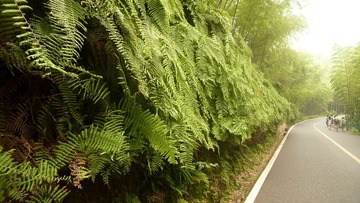 P1050943.JPG