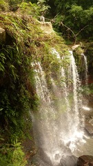 P1060001.JPG