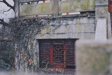 388AAA3F-0D93-4DC3-89C4-26ABE82EA0A0/L0/001