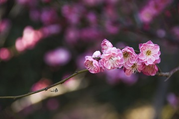 D0435514-1C82-49DA-9986-A62D90DF3F24/L0/001