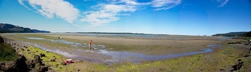 Netarts Bay