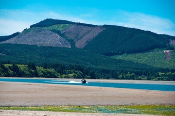 风景