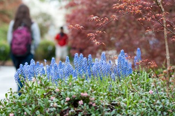 DSC00904.jpg