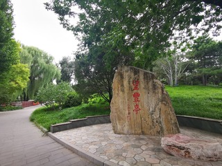 起飞