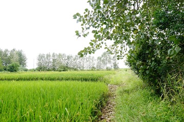 296426BB-9BD4-4A23-8577-B74F7E6DF5CD/L0/001