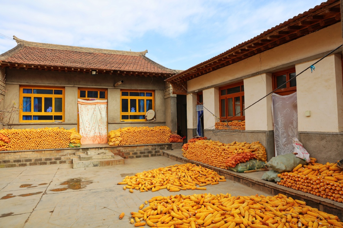 希望的田野～甘肃会宁