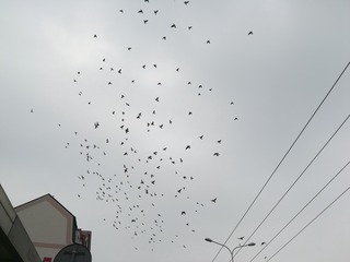 1497063