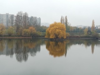 1609979