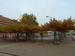 1530610