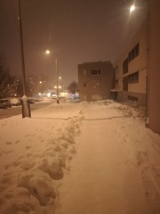 2427197