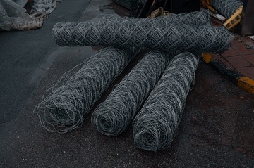 1569919