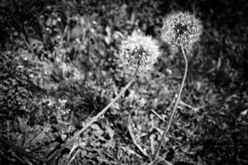 DSC01698-2