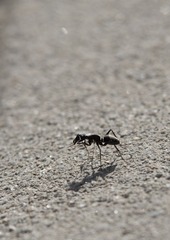 DSC_0227 (1).jpg