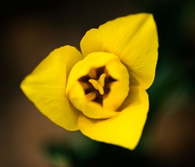 复件(20130504 163122428) DSC_0331.jpg