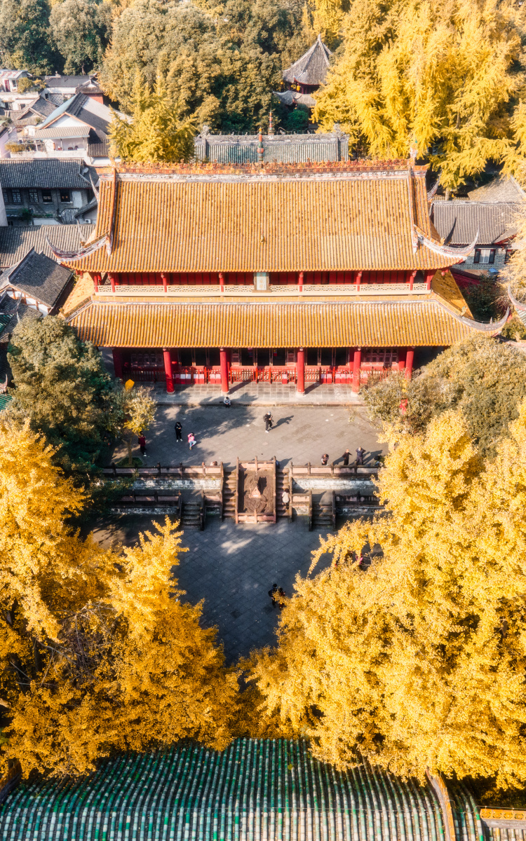 崇州罨画池的秋色