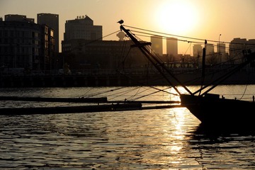 海河夕阳