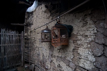 DSC_0175-234