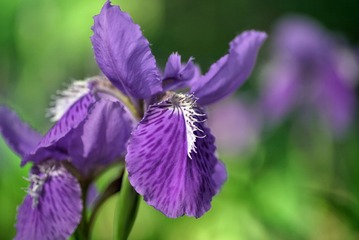 63CA1D12-F520-4463-888D-216D17A389E0/L0/001