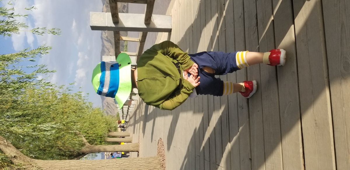 聪明的小孩,学大人背着小手手.