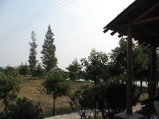 IMG_0014.JPG