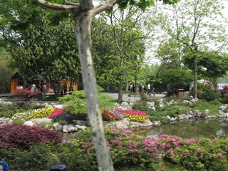 IMG_0020.JPG