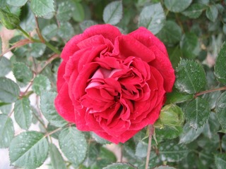 IMG_0032.JPG