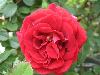 IMG_0035.JPG