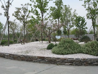 IMG_0064.JPG