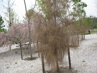 IMG_0072.JPG