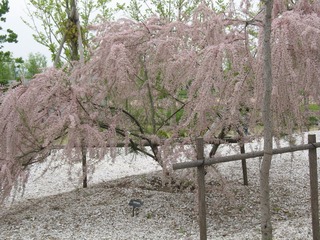 IMG_0073.JPG