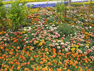 IMG_0126.JPG