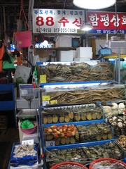 IMG_0163.JPG