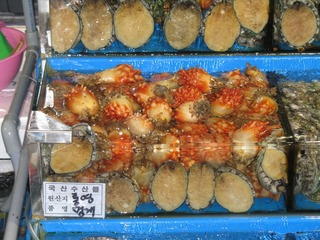 IMG_0164.JPG