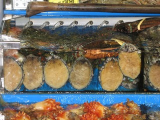 IMG_0165.JPG