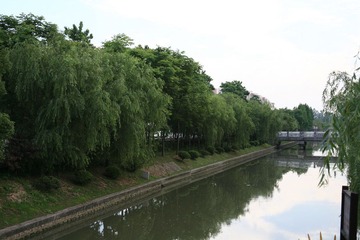 IMG_9471.JPG
