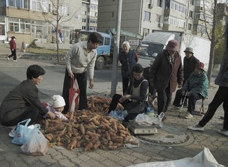 又是秋菜上市时5.JPG