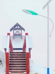 雪2.JPG