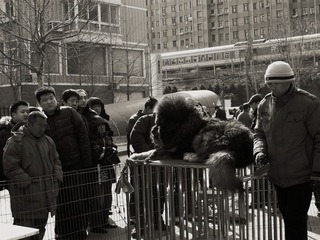 街边市场2.JPG