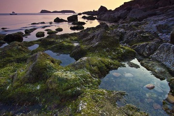 海岸,,jpg.JPG