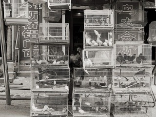 街边市场4.JPG