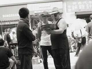 街边市场25.JPG