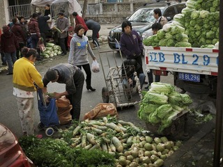 又到秋菜上市时4,.JPG