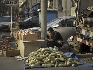 又到秋菜上市时11,.jpg