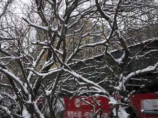 雪3，.jpg