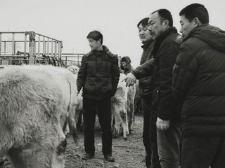 赶集3.JPG