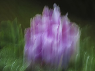e.jpg
