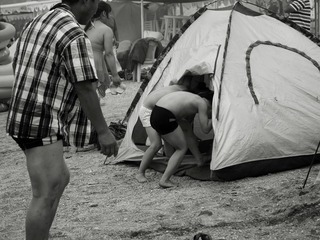 夏日4.JPG